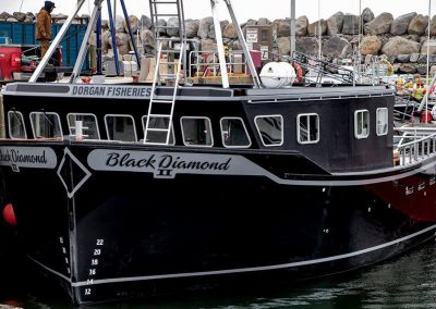 Black Diamond II